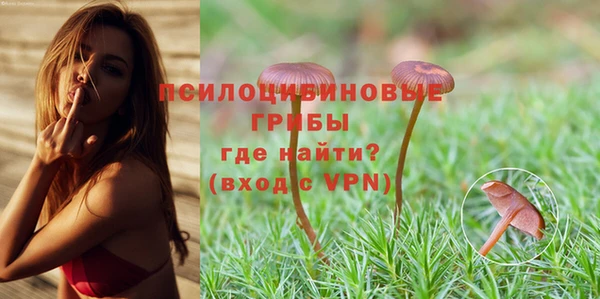 шишки Зерноград