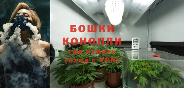 шишки Зерноград