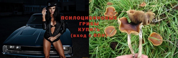 соль курить ск Зеленокумск