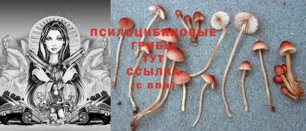 соль курить ск Зеленокумск